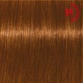 Indola Xpress Color 7.44 Medium Blonde Intense Copper 60ml