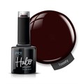 Halo 8ml Toasty - Winter Warmers
