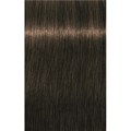 PCC Fashion 5.82 Light Brown Chocolate P