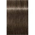 PCC Cool & Neutral 6.1 Dark Blonde Ash 6