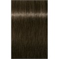 PCC Cool & Neutral 6.11 Dark Blonde Inte