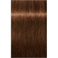 PCC Intense Coverage 6.38+ Dark Blonde G
