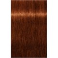 PCC Intense Coverage 6.6+ Dark Blonde Re