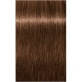 PCC Fashion 6.83 Dark Blonde Chocolate G