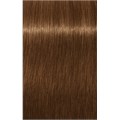 PCC Fashion 7.8 Medium Blonde Chocolate 