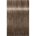 PCC Cool & Neutral 8.1 Dark Blonde Ash 6