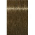 PCC Cool &Neutral 8.18 Light Blonde Ash 