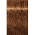 PCC Fashion 8.34 Light Blond Gold Copper
