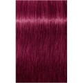 PCC Fashion 8.77x Light Brown Extra Viol