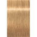 PCC Fashion 9.38 Very Light Blonde Gold 