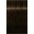 PCC Fashion 4.38 Medium Brown Gold Choco