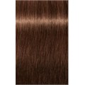 PCC Fashion 5.35 Light Brown Gold Mahago