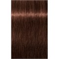 PCC Fashion 5.56 Light Brown Mahagony Re