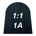 quint:essential 1:1 1A 60ml