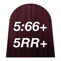quint:essential 5:66+ 5RR+ 60ml