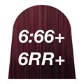 quint:essential 6:66+ 6RR+ 60ml