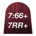 quint:essential 7:66+ 7RR+ 60ml