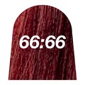 magi:colour 66:66 Dark Intense Red Blonde