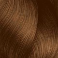 NXT 9.3 Very Light Golden Blonde