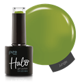 Halo 8ml Jungle - Safari Collection