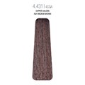 M_S 4.431 Medium Exotic Brown Creative 1