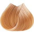 ^3 NXT 10-34 Platinum Golden Copper Blon