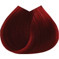 ^3 NXT 6-666 Dark Carmine Red Blonde