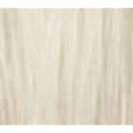 Illumina Color 10/1 - Lightest Ash Blonde 60ml