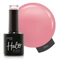 Halo 8ml Bliss - Arabian Nights Collection