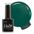 Halo 8ml Destiny - Arabian Nights Collection