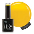Halo 8ml Fortune - Arabian Nights Collection