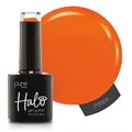 Halo 8ml Palace - Arabian Nights Collection