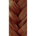 Danger Jones Gloss Toner 4-4