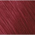 Colorance Tube 7RR