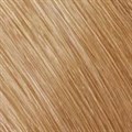 Colorance Tube 8G