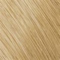 Colorance Tube 9N