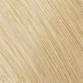 Colorance Tube 10BG