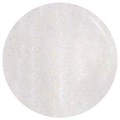 Edge Gel Polish The Holographic Flake Topper