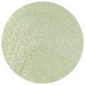OPI NL - AppointMINT Confirmed Spring25