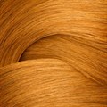 RK Shades EQ BI 08WG 60ml