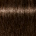 PCC Fashion 4.86 Medium Brown Chocolate 