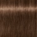 PCC Fashion 6.38 Dark Blonde Gold Chocol