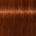 PCC Intense Coverage 6.6+ Dark Blonde Re