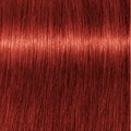 PCC Fashion 6.66x Dark Blonde Extra Red 