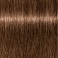 PCC Fashion 6.83 Dark Blonde Chocolate G
