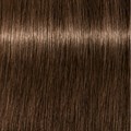 PCC Fashion 6.84 Dark Blonde Chocolate C