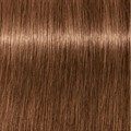 PCC Fashion 7.82 Medium Blonde Chocolate