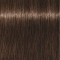 Xpress Color 6.00 Dark Blonde Int Nat