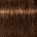 $ Igora Royal Absolute Dark Blonde Beige