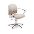 REM Evolution Salon Chair